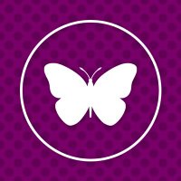 The Butterfly Club(@butterflyclub) 's Twitter Profileg