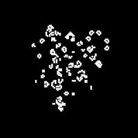 hûn (@cloned_id) 's Twitter Profile
