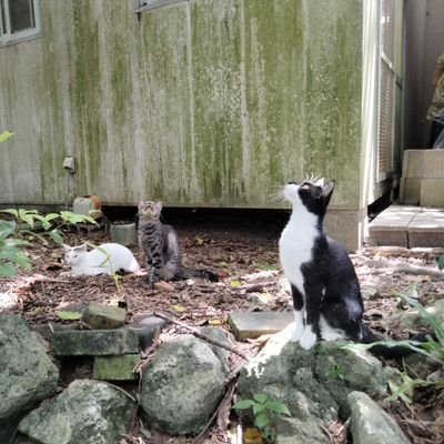 9dcpHYnsFSgJzAP's profile picture. 