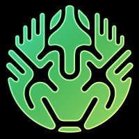 🐸phong (@ansonphong) 's Twitter Profile