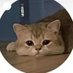 Nomy (@tskongnipit) Twitter profile photo Nomy (@tskongnipit) Twitter profile photo