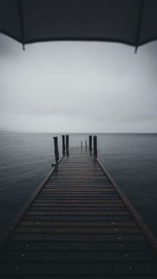 welus194031's profile picture. 