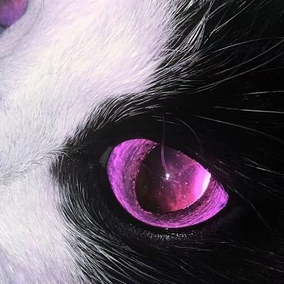 hyunlixkk's profile picture. 06 / S