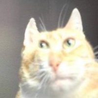 99 (@en99ene) 's Twitter Profile