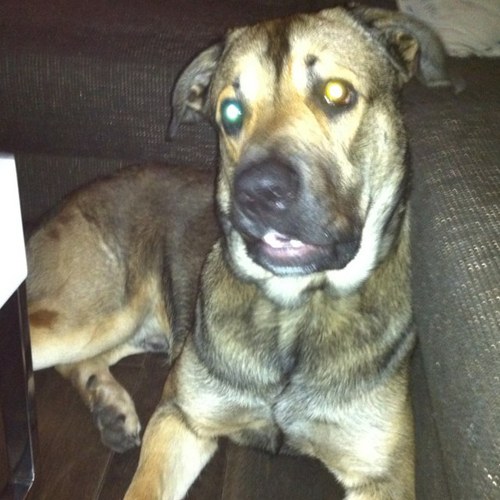 ruudafbouw's profile picture. 