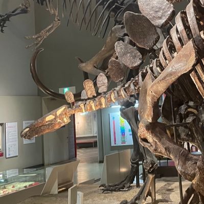 poridofu888's profile picture. 