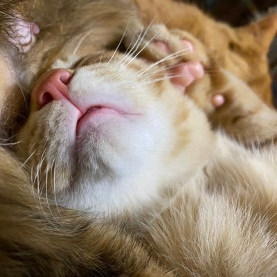 coolercooler_99's profile picture. なにもなく、ただただ平凡。