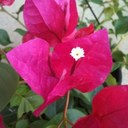 kimberlee moore - @moore_kimberlee - Twitter