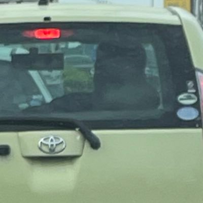 5mF4JVD6lzk1J4r's profile picture. 千葉の田舎大学生