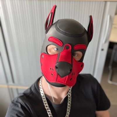 🇩🇪🏳️‍🌈 ⛓️ Bottom / Sub • Kinky Puppy • Gearhead • locked •