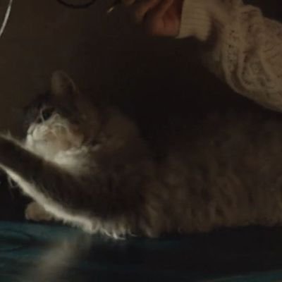 momo__276's profile picture. 