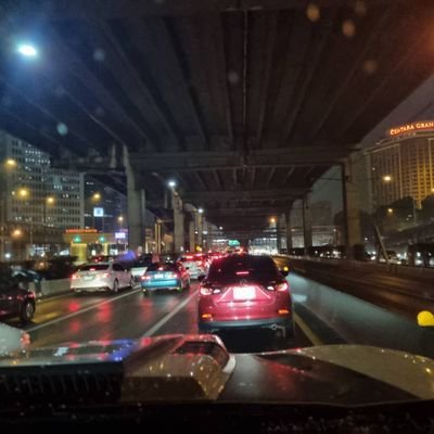 nphphr950341838's profile picture. 