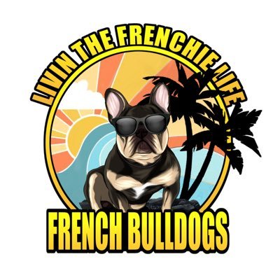 We are breed health tested French Bulldogs. We offer Stud Service and Artificial Insemination. Progesterone testing and ultrasound is coming soon!