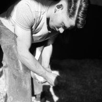 farrier34 (@polattklc) Twitter profile photo