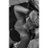 rosafj15's profile image