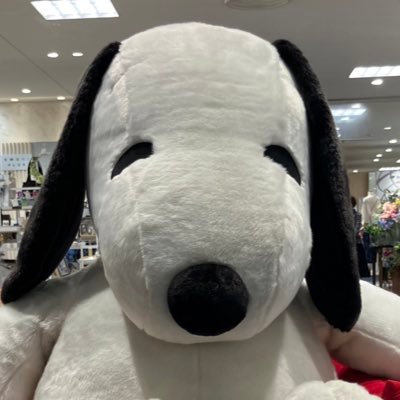 sirasu516's profile picture. 雨垂れ石を穿つ