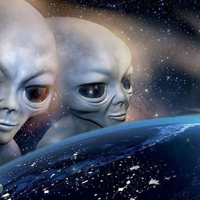 ballahase's profile picture. lieber ein krieger im garten , als ein gärtner im krieg