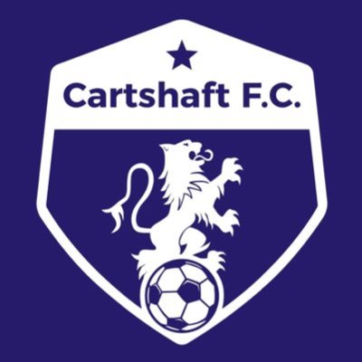 cartshaftFC_ Profile Picture