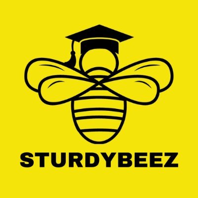 Sturdybeez is a revolution in the educational industry, offering affordable online assignment help for college students.