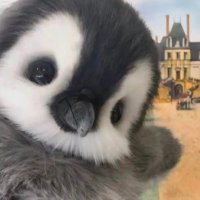 女s四爱龟责 (@nnyu078) 's Twitter Profile