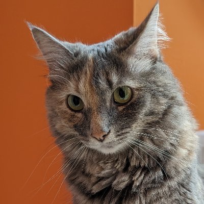 iNDICA7ive's profile picture. 