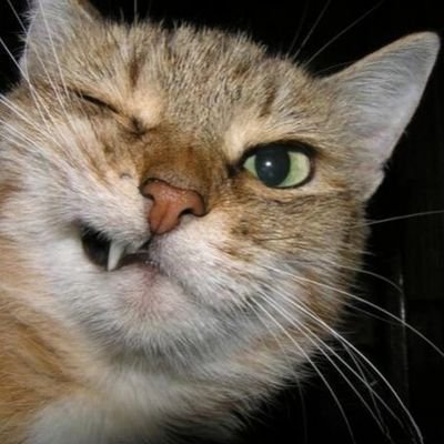 F16_Toxic's profile picture. https://t.co/SkJb6WyYiy 
Subribe like comment and plz plz plz plz sport me.