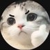 あ (@ddlygv) Twitter profile photo あ (@ddlygv) Twitter profile photo