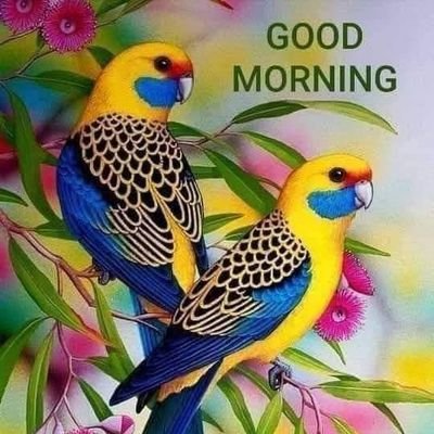 ElhamJa00816010's profile picture. top or bottom rabita karo 031whatsapp or call