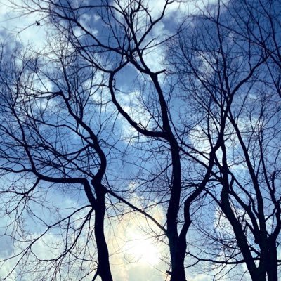 kaco_star's profile picture. みんなカッコいいのに かわいい ／プロレス 格闘技全般好き／推しがどんどん増える増える