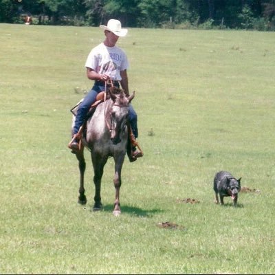 husband, father, grandfather. average blue collar working man.5th gen Florida native. SAR member. #DeSantis2024