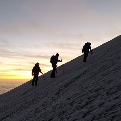 Apasionado por dejar mejor el mundo que recibimos. CEO, comparto ideas de manufactura y gestión. Aficionado del montañismo y las artes marciales 🤙