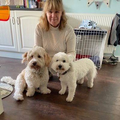 stephjp134340's profile picture. 