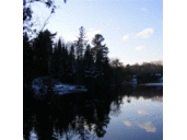 Bell Fraser - @BellFraser1 - Twitter