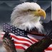 1776 FREEDOM WARRIOR🇺🇸🇺🇸🇺🇸🇺🇸 (@Christe09519200) Twitter profile photo