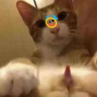 小叶想不到名字 (@xiaoyechaolihai) 's Twitter Profile