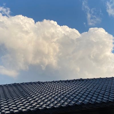 dis_wjjjh's profile picture.