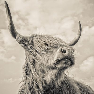 JMKCap14's profile picture. ∞/21,000,000 🦅 #bitcoin ₿