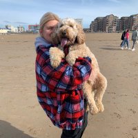 clo x (@chloewalcot) 's Twitter Profile
