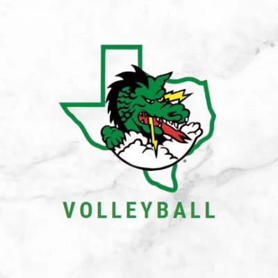 Dragon_Vball Profile Picture