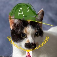 Knowshona the Cat(@jmeowly) 's Twitter Profile Photo