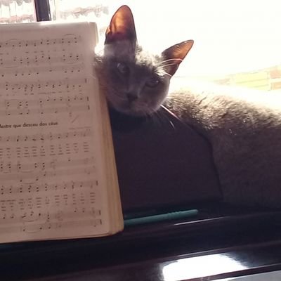 _Giulyahx's profile picture. Oieee