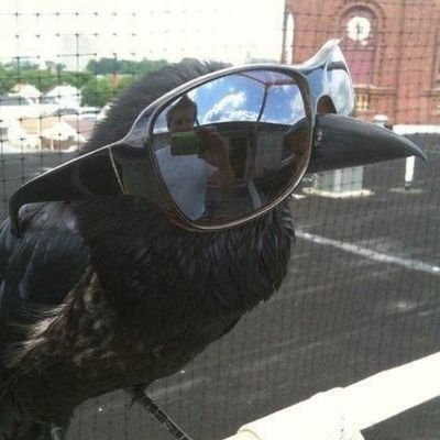 doohickey_69's profile picture. 