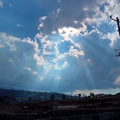 xxxxlorong's profile picture. 