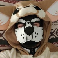 Adamski Fox 🔞 (@ad_adamski) 's Twitter Profile