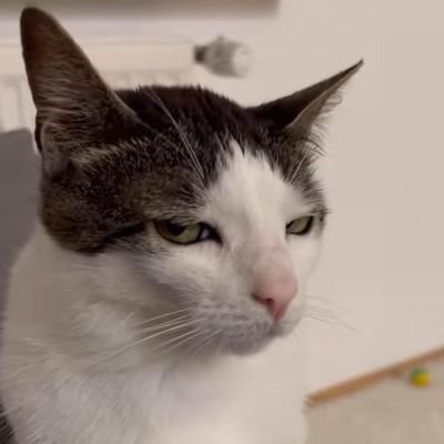 PaulUp102's profile picture. 