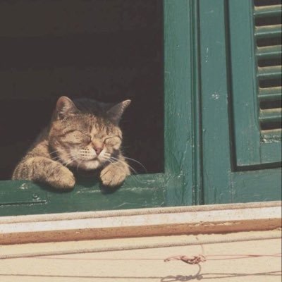 Tuilatuna's profile picture. 