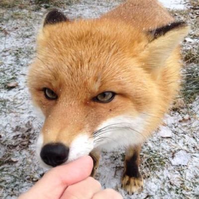 DrN22314031's profile picture. 全ての投資の基礎「相場サイクル論」に基づいて発信🤗

不動産の仕事もしてます🏠
（株）Brick Bride

note
https://t.co/i8pyIMz21m

個人投資家の私生活（インスタ）
https://t.co/m3zUV4T5DC

#経済 #投資 #株 #相場サイクル論