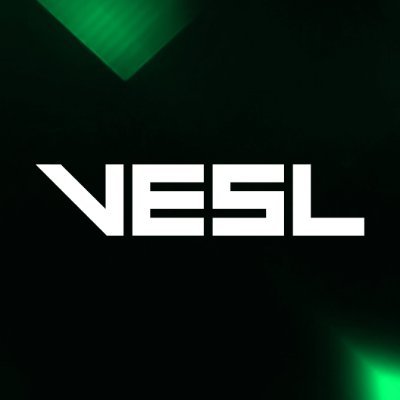 veslgg Profile Picture