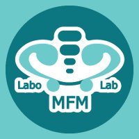 The Motor Function Measurement (@mfmlab) 's Twitter Profile