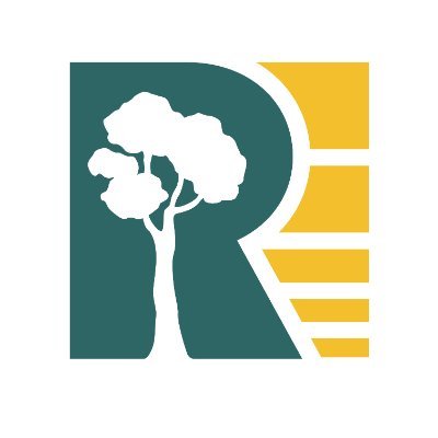 Reunion Gold Corporation Profile